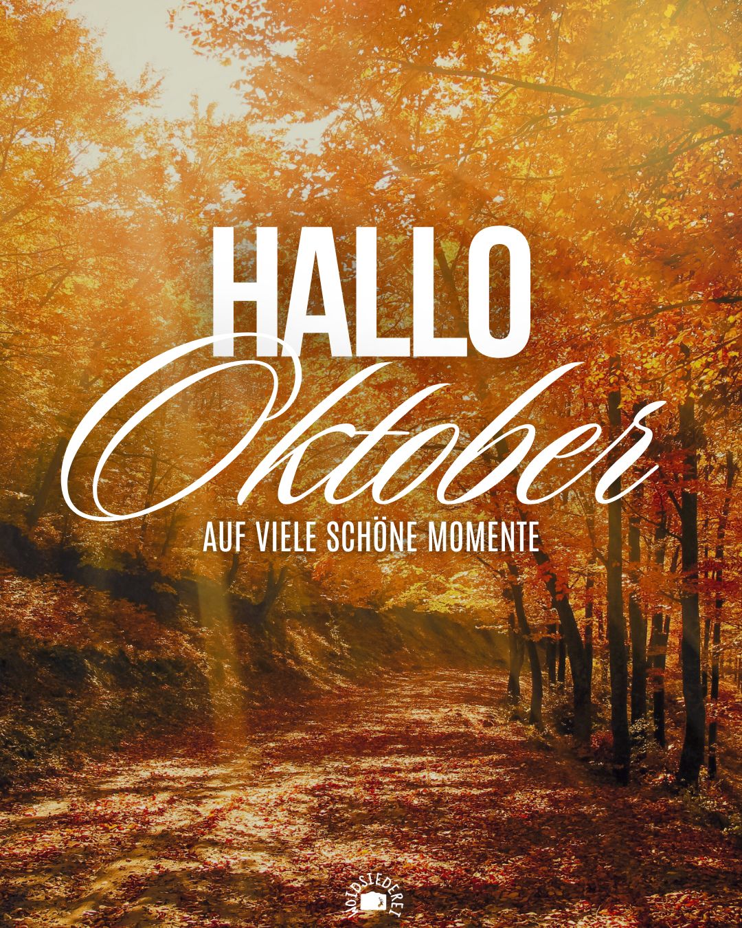 🍂 Hallo Oktober! 🤎 AUF VIELE SCHÖNE MOMENTE ❤️