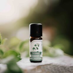 Waldnatura - ätherisches Öl - Pfefferminz