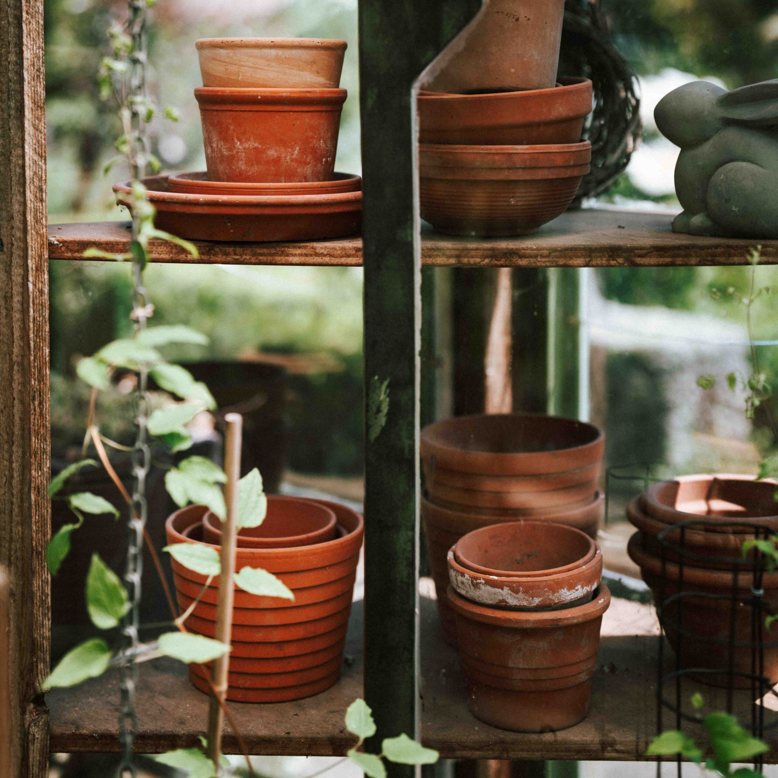 Peelingseife Gärtners Liebling – Bild 4