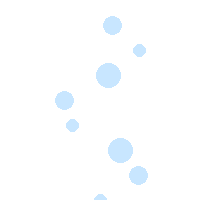 Woidsiederei
